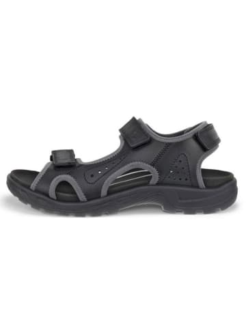 Ecco Leren wandelsandalen "Hike" zwart/grijs