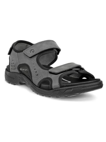 Ecco Leren wandelsandalen "Hike" grijs/zwart