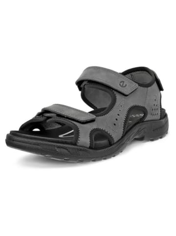 Ecco Leren wandelsandalen "Hike" grijs/zwart