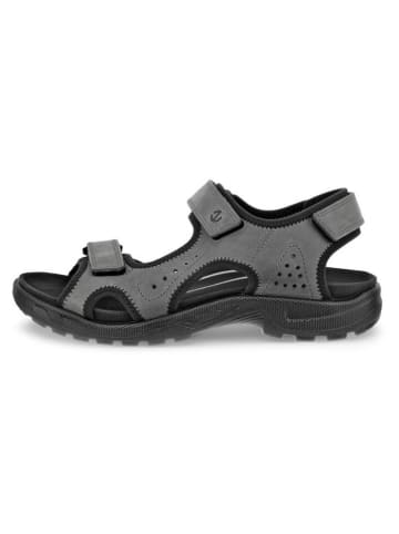 Ecco Leder-Wandersandalen "Hike" in Grau/ Schwarz