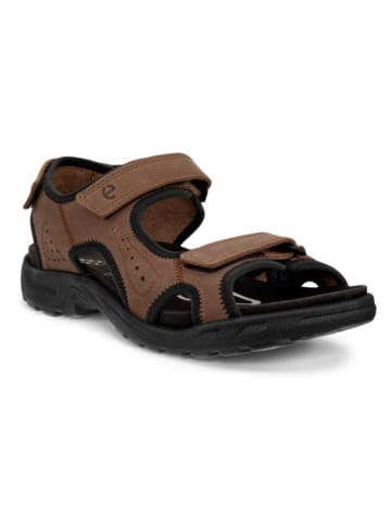 Ecco Leder-Wandersandalen "Hike"  in Braun/ Schwarz