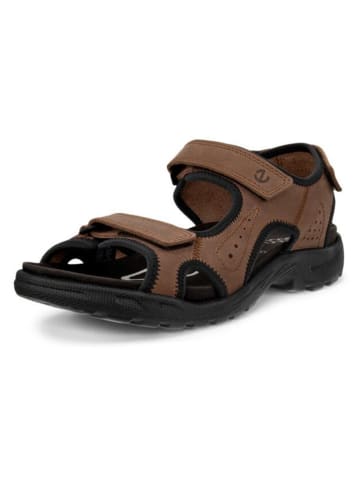 Ecco Leren wandelsandalen "Hike" bruin/zwart