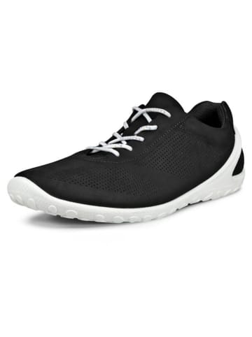Ecco Skórzane sneakersy "Biom Lite" w kolorze czarnym