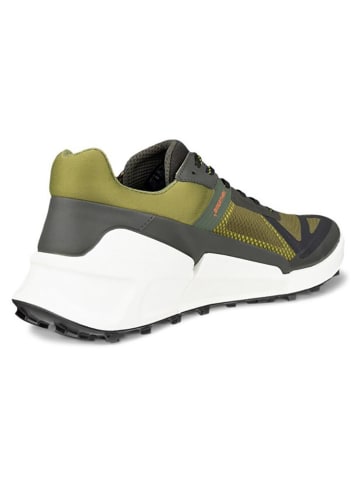 Ecco Wandelschoenen "Biom 2.1 x Mountain" antraciet/kaki
