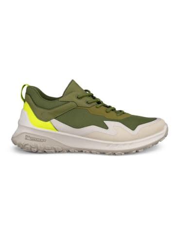 Ecco Wanderschuhe "Ult-trn"  in Khaki/ Creme/ Gelb