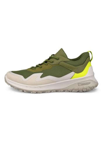 Ecco Wanderschuhe "Ult-trn"  in Khaki/ Creme/ Gelb