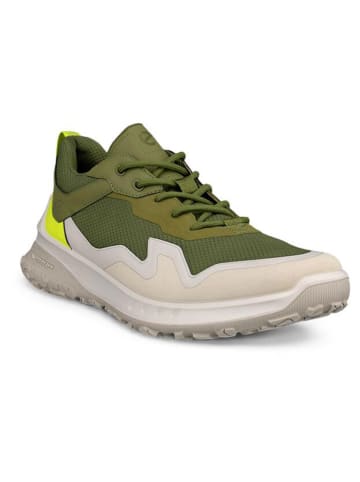 Ecco Buty turystyczne "Ult-trn" w kolorze oliwkowo-kremowo-żółtym