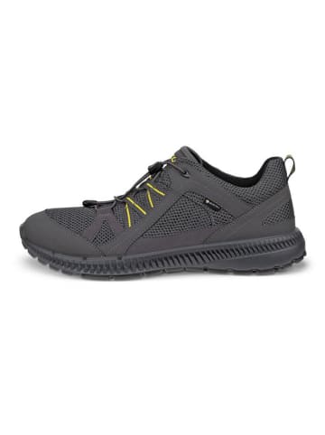 Ecco Buty turystyczne "Terracruise II" w kolorze antracytowym