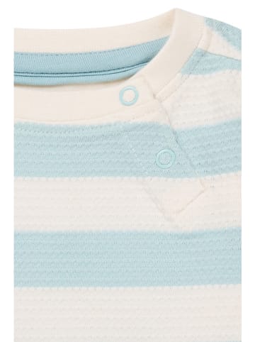 Noppies Longsleeve "Ogden" in Creme/ Hellblau