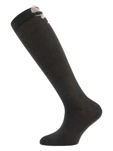 ewers 2-delige set: kniekousen "Schleife" bruin/crème
