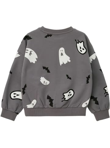 s.Oliver Sweatshirt in Grau