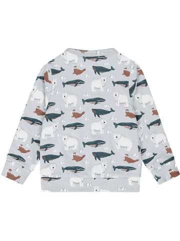 Dirkje Sweatshirt lichtblauw