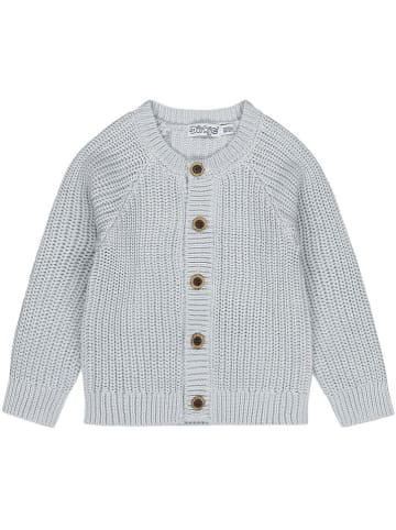 Dirkje Cardigan in Hellblau