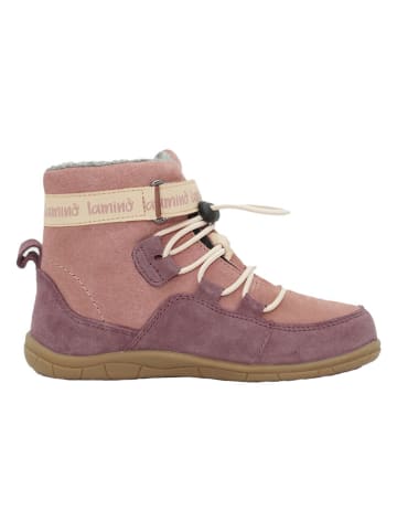 lamino Leder-Barfußschuhe in Rosa