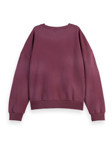 Scotch & Soda Sweatshirt in Bordeaux