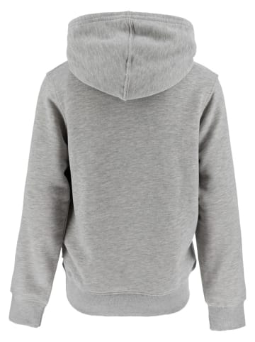 Levi's Kids Hoodie lichtgrijs