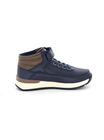 Levi´s Botki "Ascot" w kolorze granatowo-oliwkowym