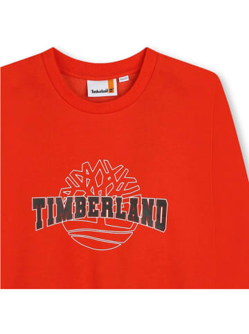 Timberland Bluza w kolorze czerwonym