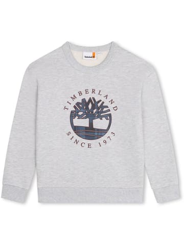 Timberland Bluza w kolorze szarym
