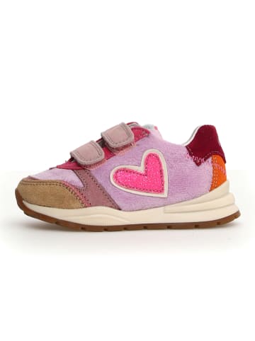 Naturino Sneakers paars/bruin/rood