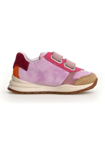 Naturino Sneakers paars/bruin/rood
