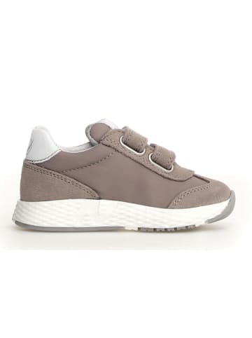 Naturino Sneakers in Weiß/ Grau