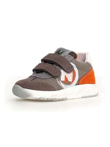Naturino Sneakers in Khaki/ Orange