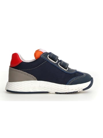 Naturino Sneakers "Jesko" in Dunkelblau/ Orange