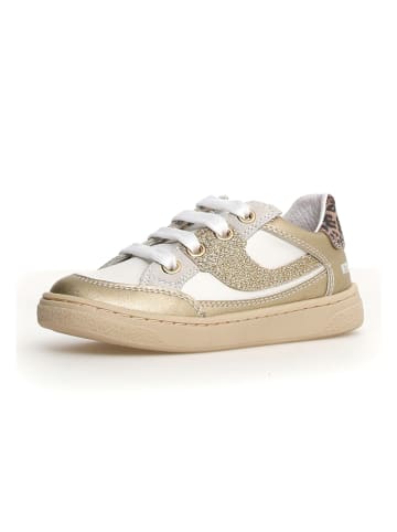 Naturino Sneakers "Picho" in Weiß/Beige