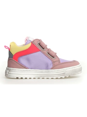 Naturino Sneakers in Bunt