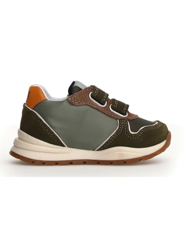 Naturino Sneakers kaki/oranje