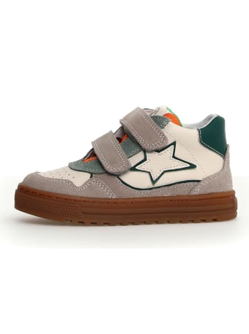 Naturino Leren sneakers grijs/beige/groen