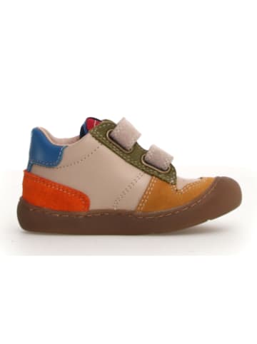Naturino Leder-Sneakers in Beige/ Blau/ Rot