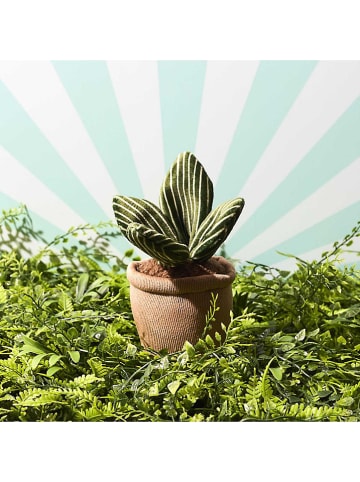 The Home Deco Kids Kuscheltiere ''Kawaii Plant'' - ab Geburt (Überraschungsprodukt)