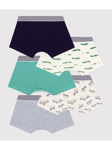 PETIT BATEAU 5er-Set: Boxershorts in Bunt