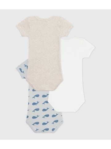 PETIT BATEAU 3er-Set: Bodys in Weiß/ Hellblau/ Beige
