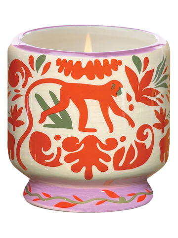 Paddywax Duftkerze ''Jungle - Coconut & Amber''  in Beige/ Orange - 226 g