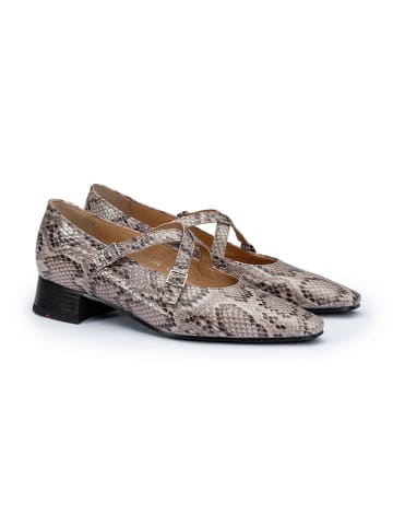 LLOYD Leren ballerina's grijs/beige