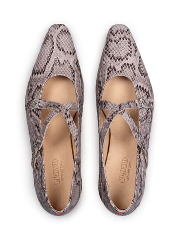 LLOYD Leder-Ballerinas in Grau/ Beige
