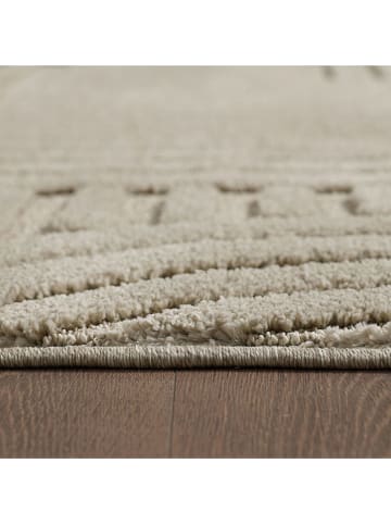 Conceptum Hypnose Laagpolig tapijt "Art 1121" zandkleurig