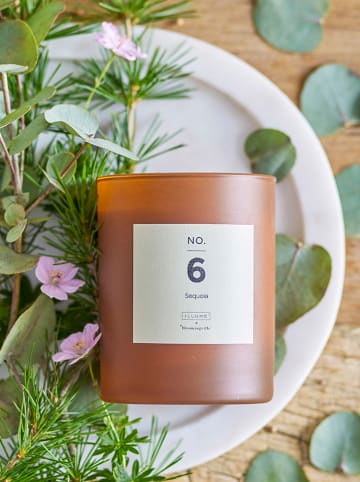 Bloomingville Duftkerze "NO.6-Sequoia" in Braun - 210 g