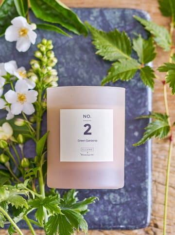 Bloomingville Duftkerze "NO. 2 - Green Gardenia" in Rosa - 210 g