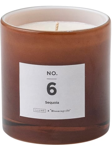 Bloomingville Świeca zapachowa "NO.6-Sequoia" - 200 g