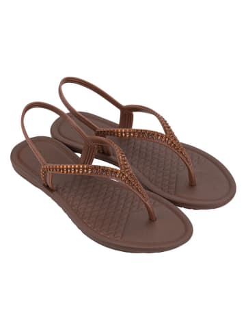 Grendha Zehensandalen "Todo Dia Brilha" in Braun