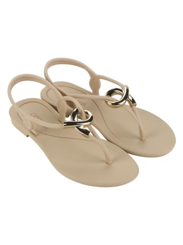Grendha Zehensandalen "Cacau Enlace" in Beige