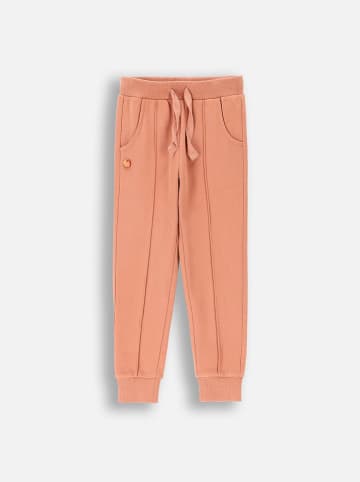 Coccodrillo Sweathose in Rosa