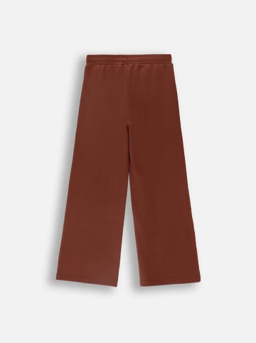 Coccodrillo Sweatbroek bruin