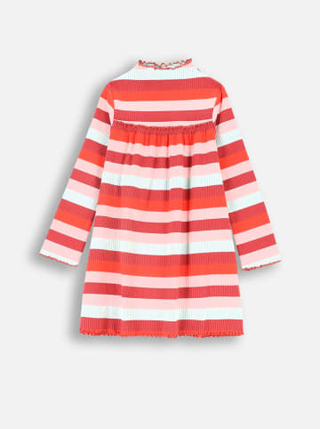 Coccodrillo Kleid in Bunt