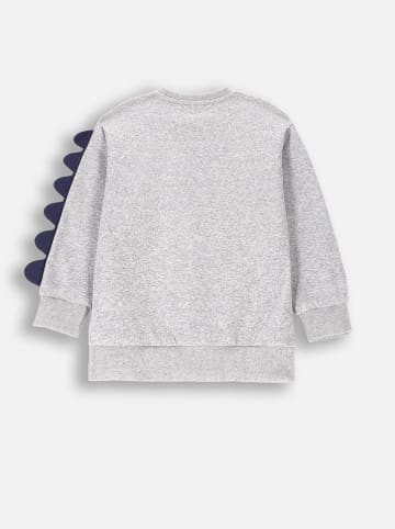 Coccodrillo Sweatshirt in Grau