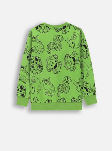 Coccodrillo Sweatshirt in Grün